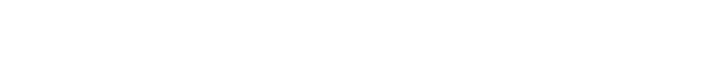 Developer